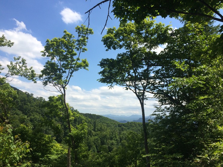 Photo 09-07-2015 12 54 25