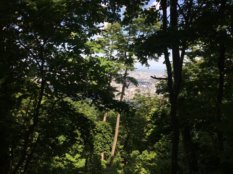 Photo 09-07-2015 12 59 58