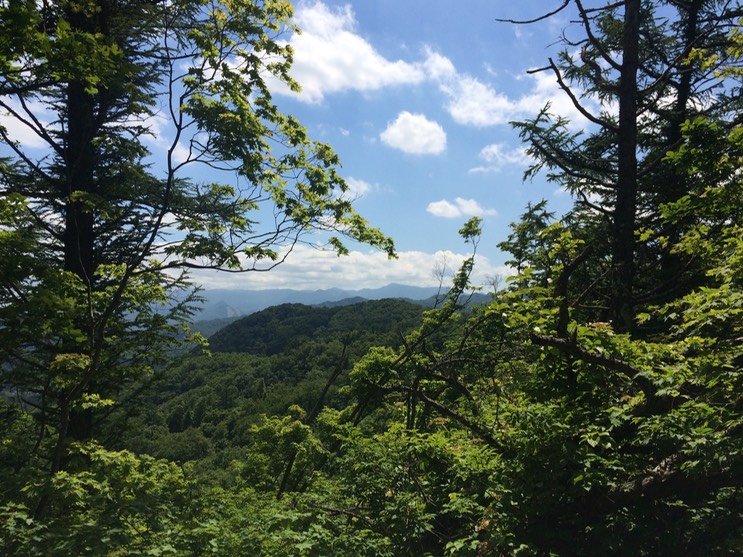 Photo 09-07-2015 13 02 43