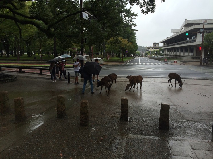 Photo 09-09-2015 10 02 37_bearbeitet-1