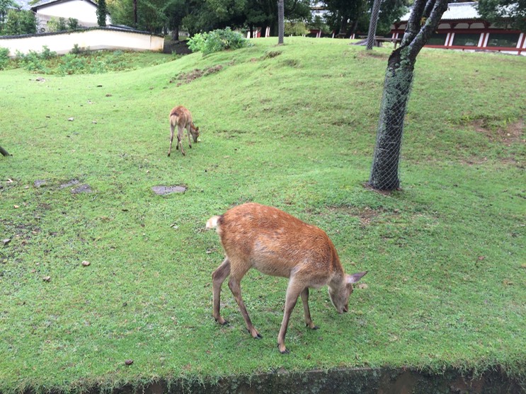 Photo 09-09-2015 10 45 16