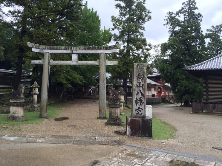 Photo 09-09-2015 11 18 12 (1)