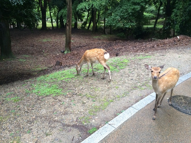 Photo 09-09-2015 11 26 59