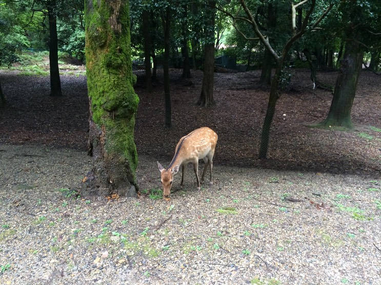 Photo 09-09-2015 11 27 04