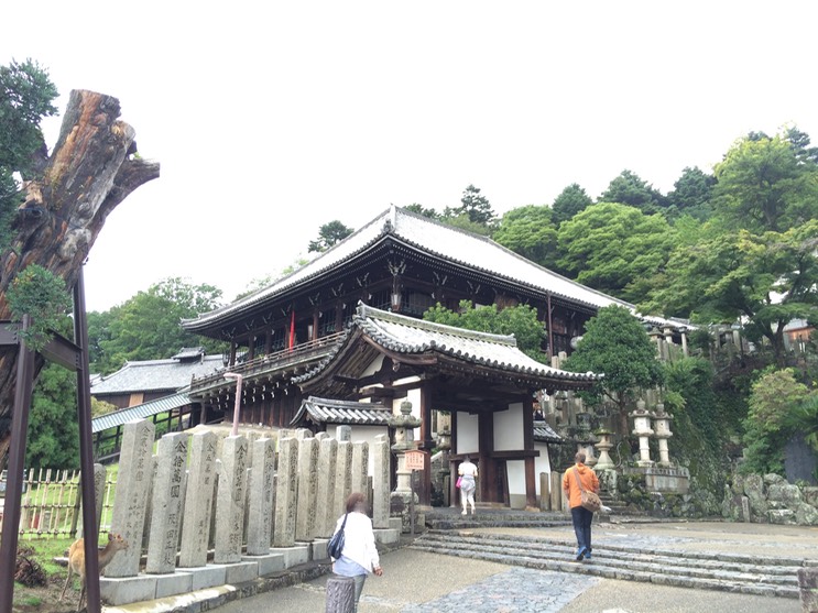 Photo 09-09-2015 11 29 48_bearbeitet-1