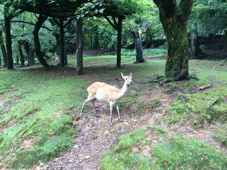 Photo 09-09-2015 11 43 49