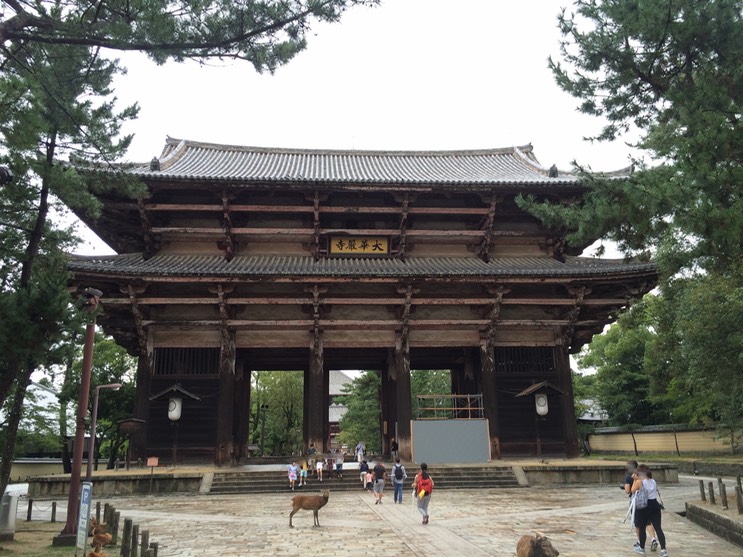 Photo 09-09-2015 11 53 15_bearbeitet-1