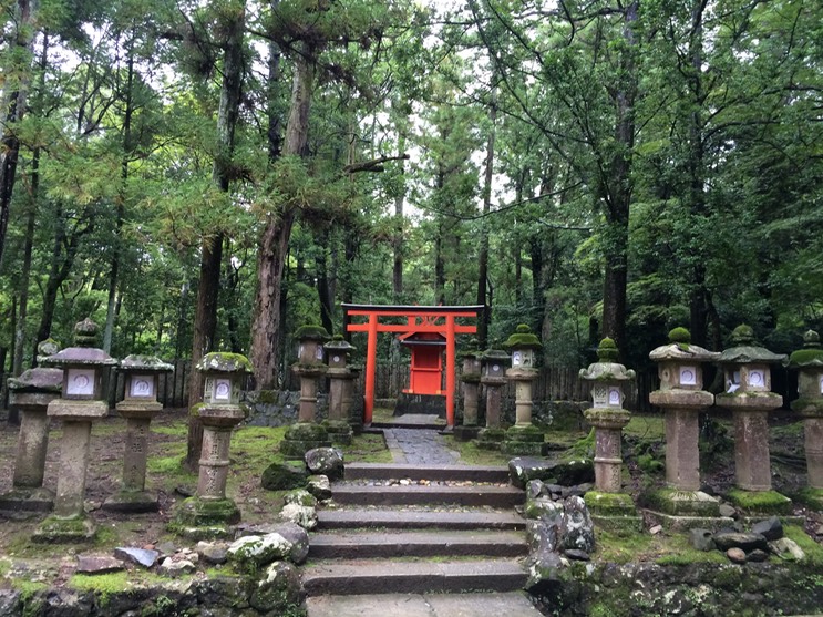 Photo 09-09-2015 12 06 02