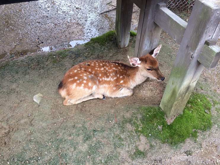 Photo 09-09-2015 12 49 20