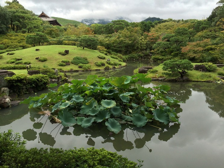 Photo 09-09-2015 13 28 07 (1)