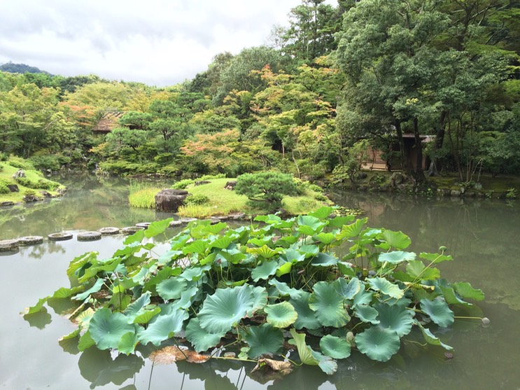 Photo 09-09-2015 13 28 24 (1)