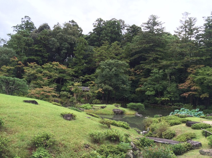 Photo 09-09-2015 13 29 11