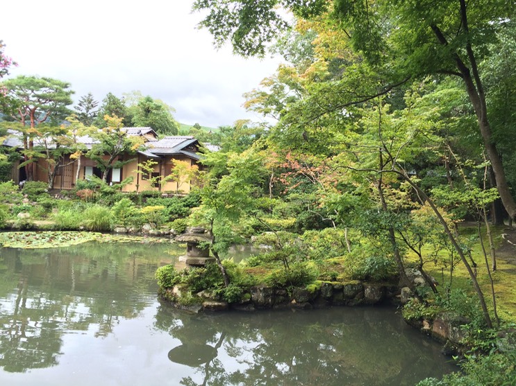 Photo 09-09-2015 13 36 02 (1)