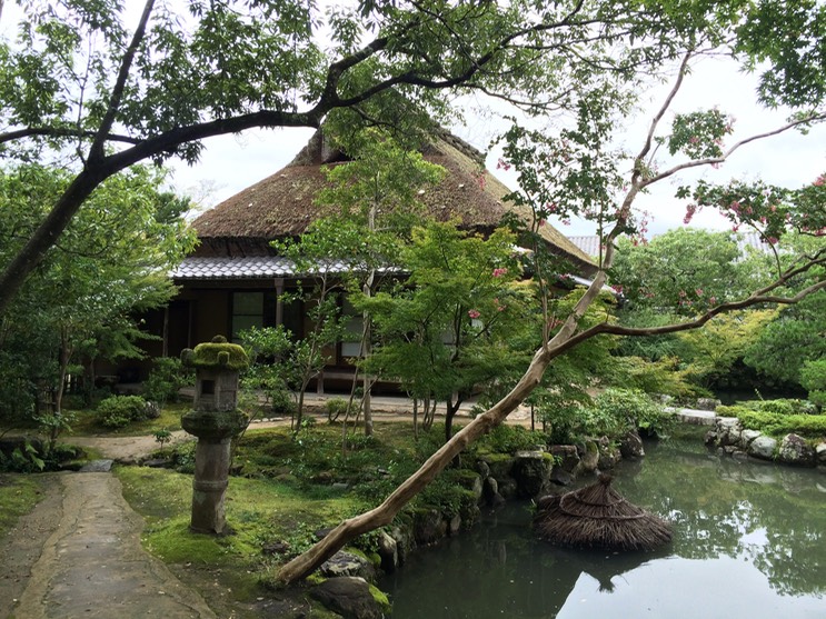 Photo 09-09-2015 13 36 19