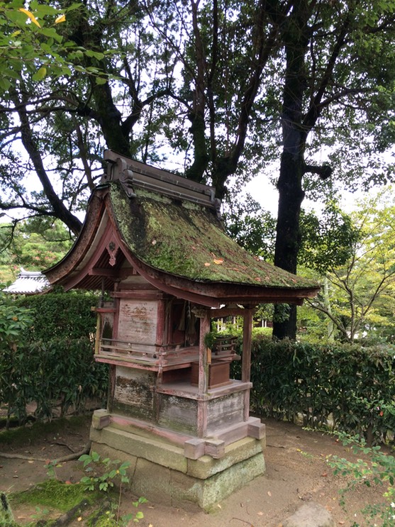 Photo 09-09-2015 15 52 27