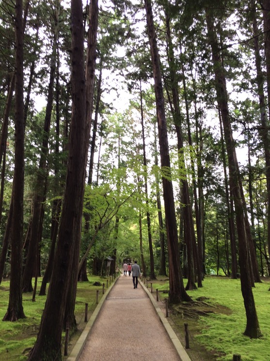 Photo 09-09-2015 15 57 05