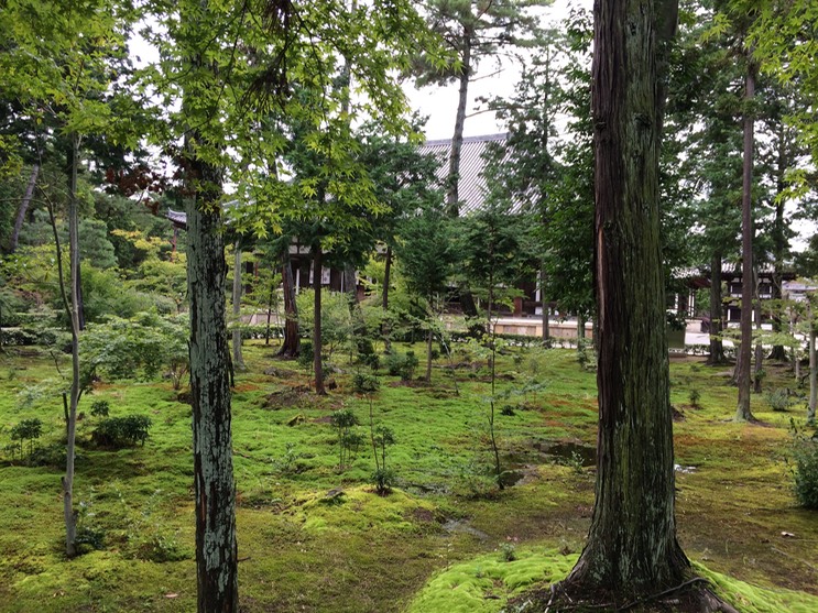 Photo 09-09-2015 16 05 30