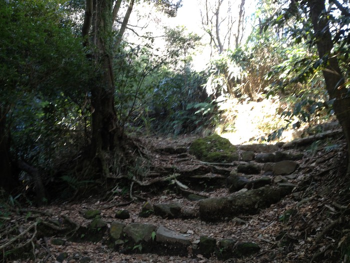 Photo 10-02-2013 11 21 14