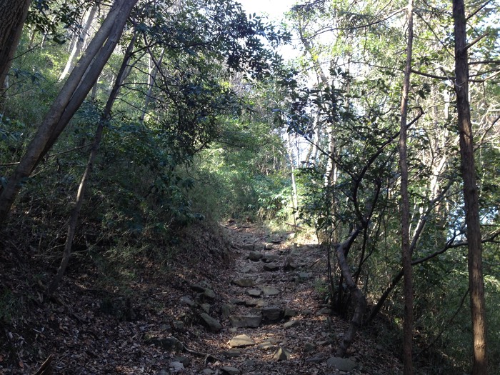 Photo 10-02-2013 11 29 21