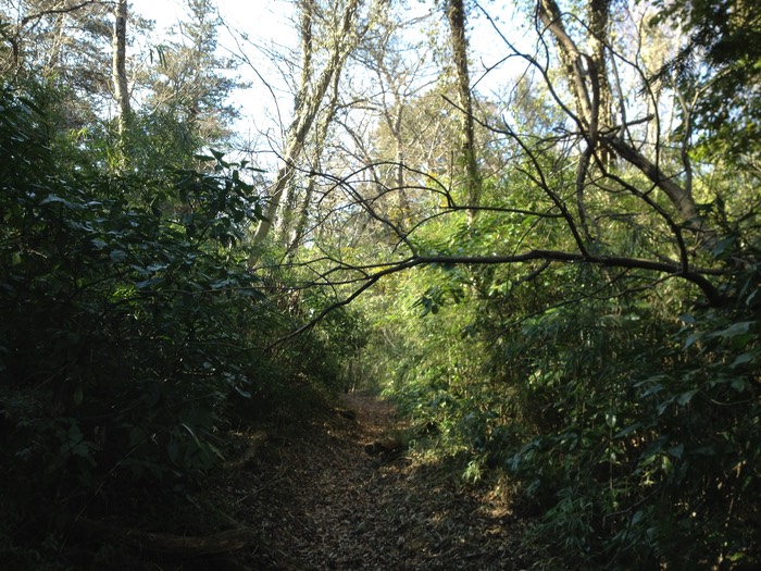 Photo 10-02-2013 11 34 16