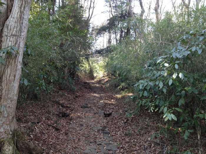 Photo 10-02-2013 11 40 32