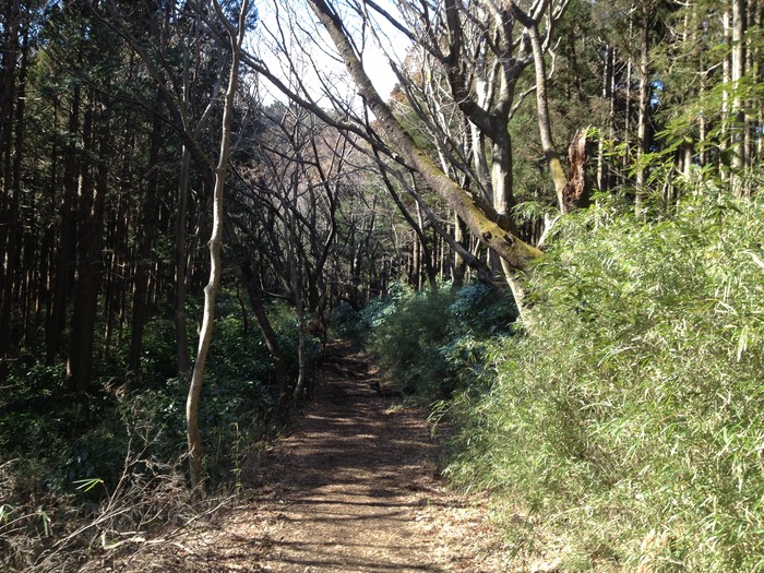 Photo 10-02-2013 11 52 42