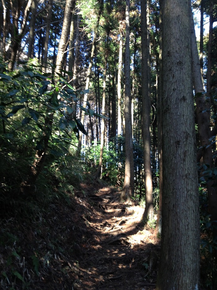 Photo 10-02-2013 11 57 19