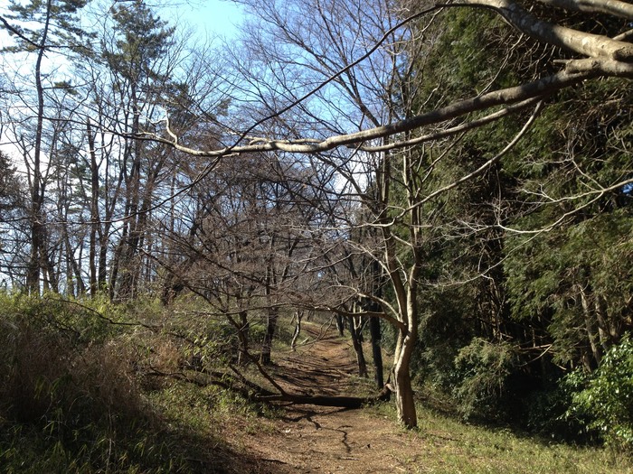 Photo 10-02-2013 12 03 58