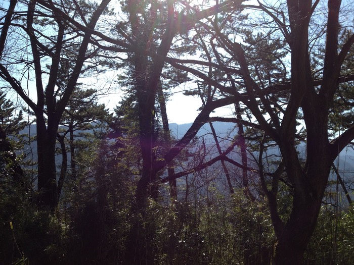 Photo 10-02-2013 12 07 11