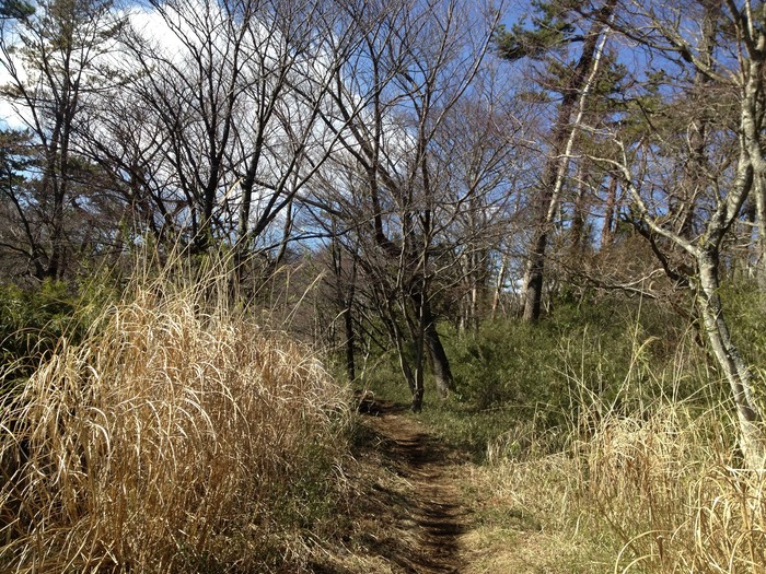 Photo 10-02-2013 12 07 37