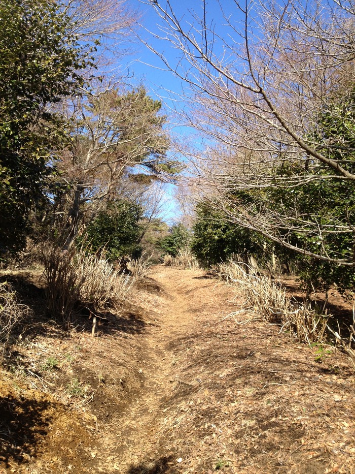 Photo 10-02-2013 12 58 37