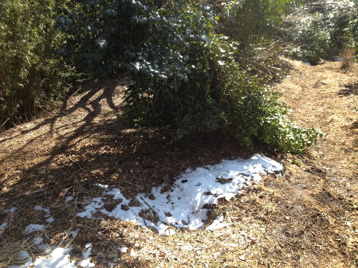 Photo 10-02-2013 12 59 30