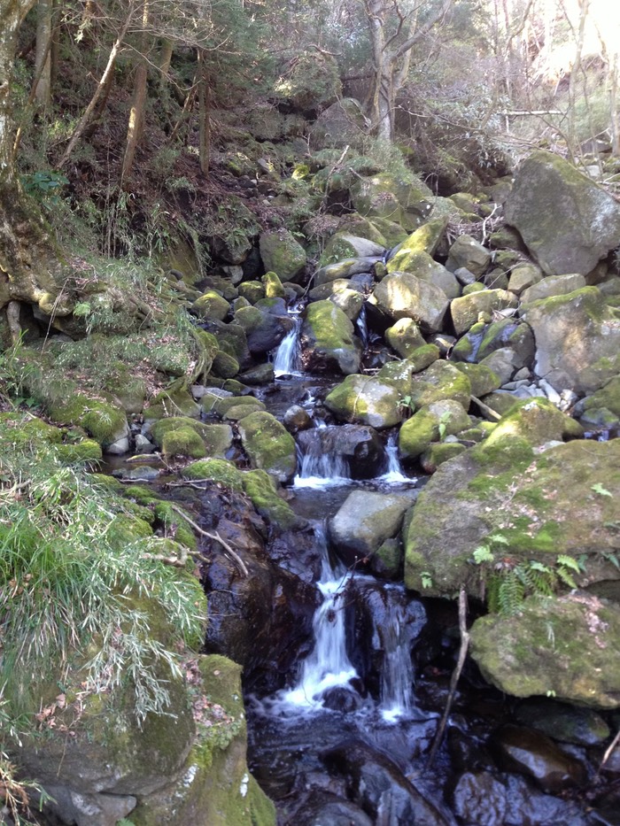 Photo 10-02-2013 13 53 49