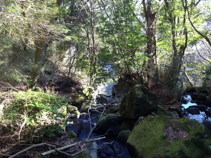 Photo 10-02-2013 13 56 19