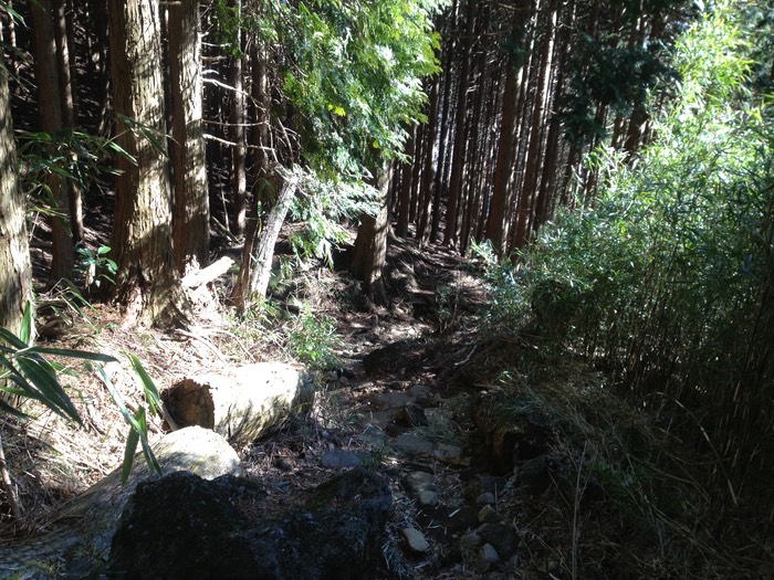 Photo 10-02-2013 14 01 37