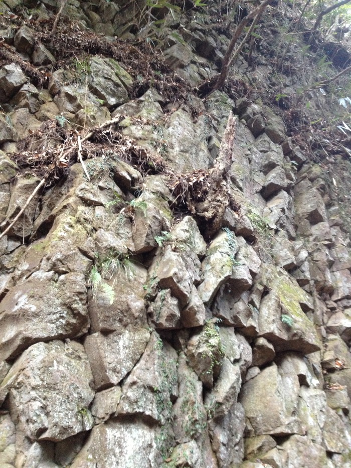 Photo 10-02-2013 14 28 55