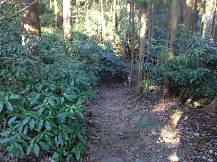 Photo 10-02-2013 15 18 12