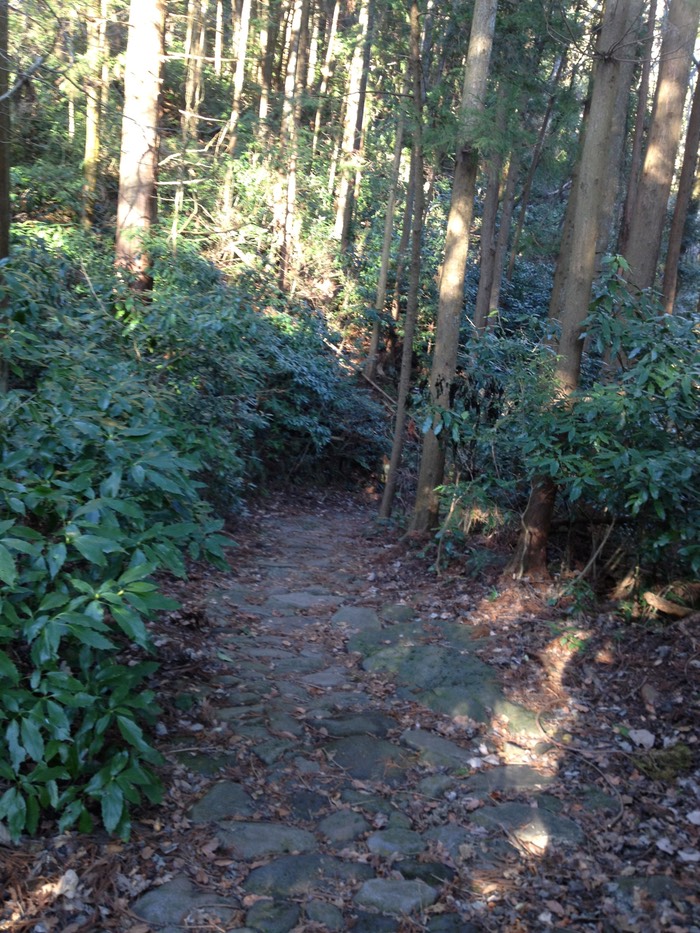 Photo 10-02-2013 15 18 15