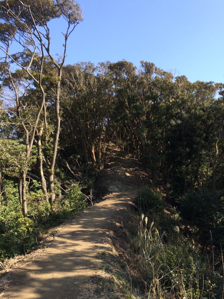 Photo 11-02-2015 13 00 08