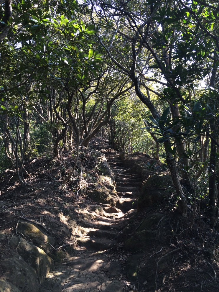 Photo 11-02-2015 13 09 04