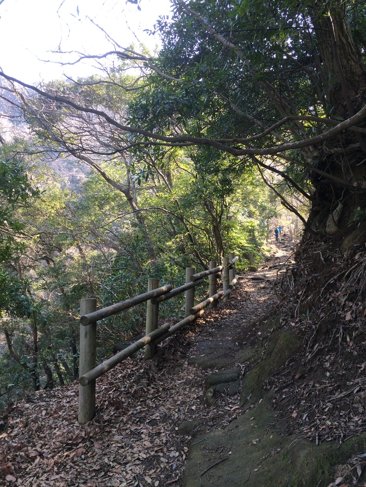 Photo 11-02-2015 13 13 30