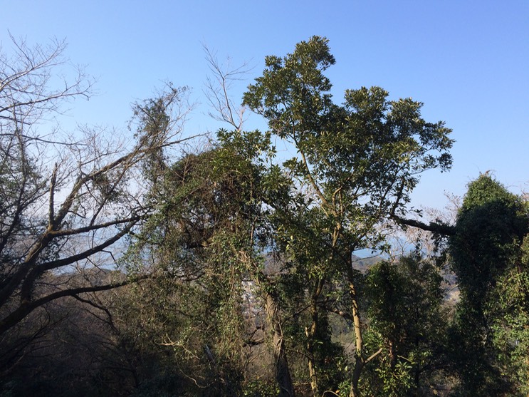 Photo 11-02-2015 13 20 33