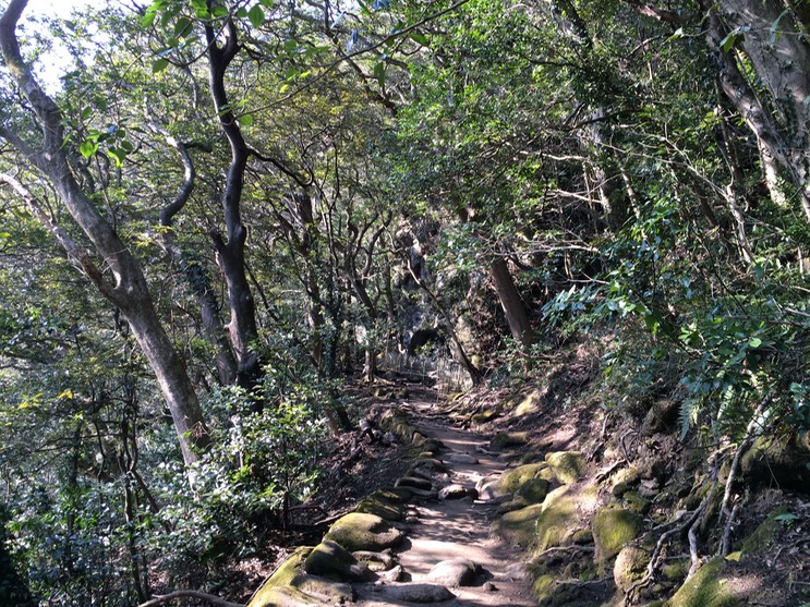 Photo 11-02-2015 14 21 06