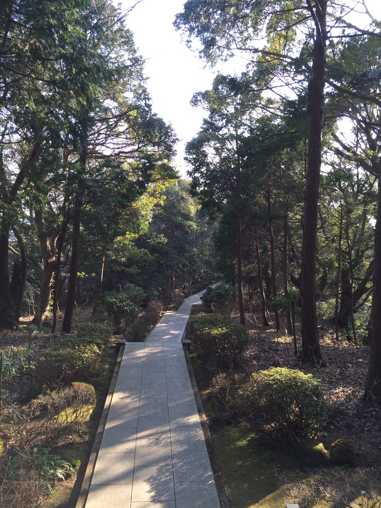 Photo 11-02-2015 15 05 38