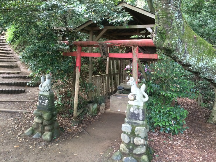 Photo 13-06-2015 09 53 47