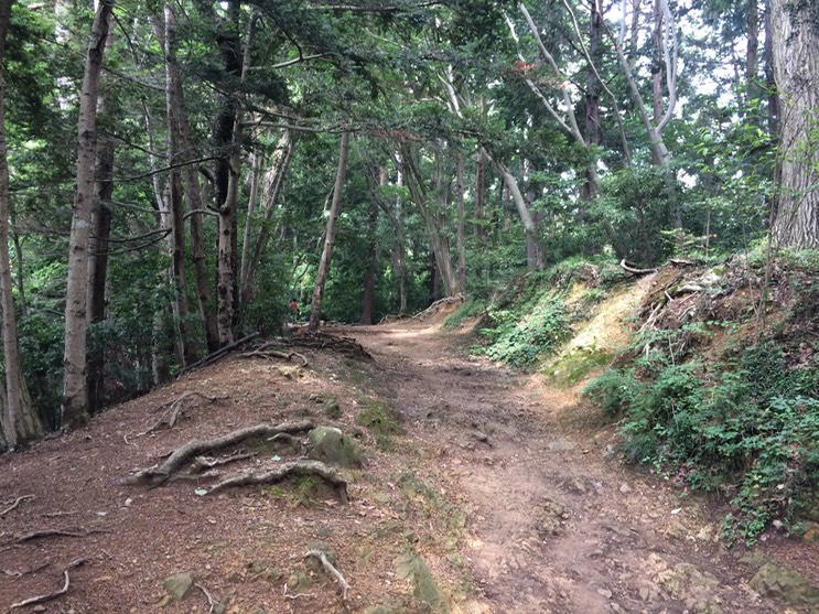 Photo 13-06-2015 10 06 40