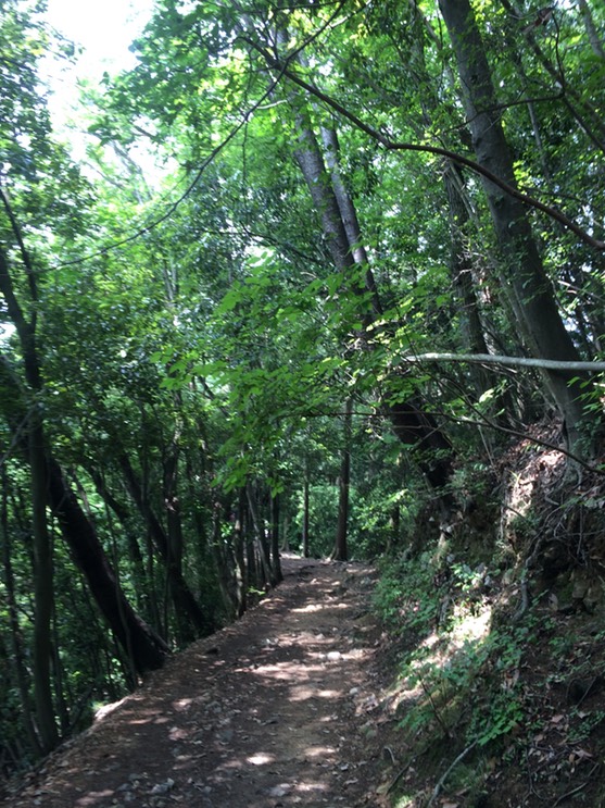 Photo 13-06-2015 10 09 35