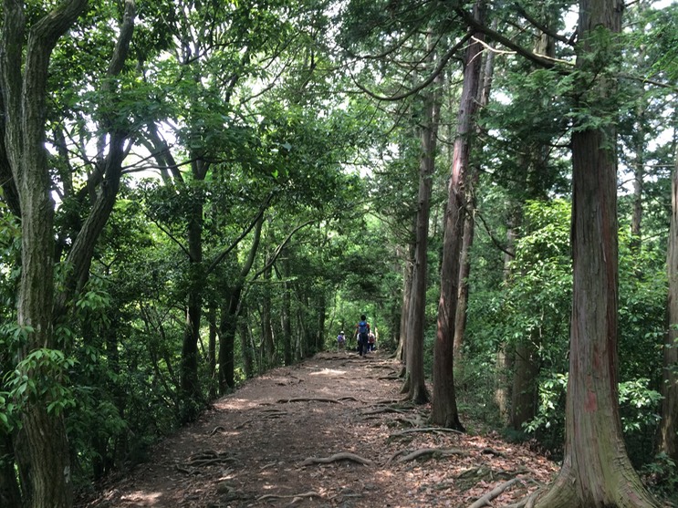 Photo 13-06-2015 10 10 29