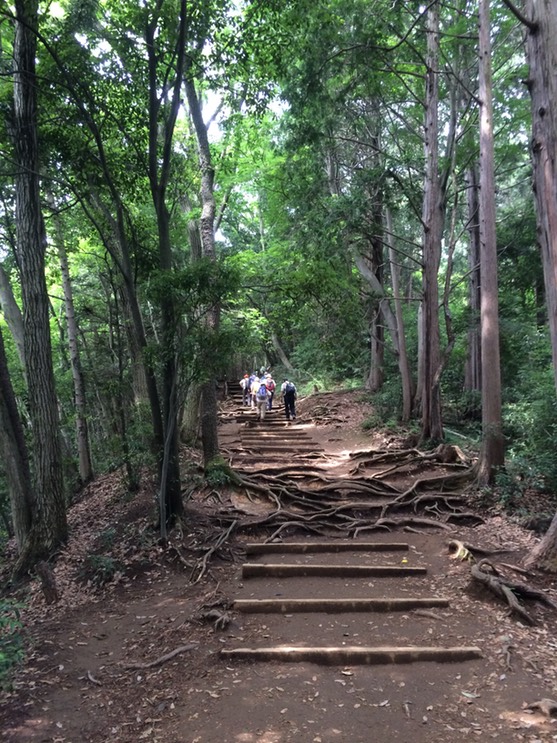 Photo 13-06-2015 10 13 29