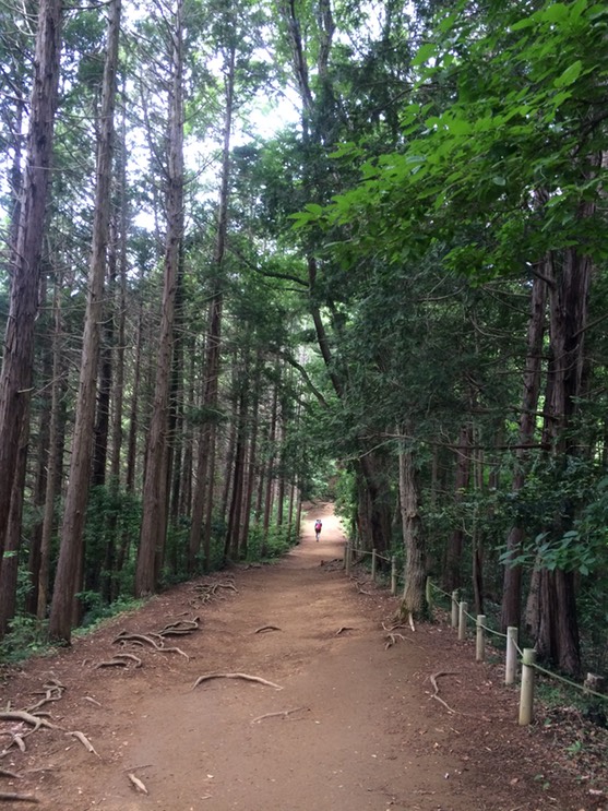 Photo 13-06-2015 10 29 58